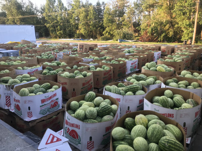 VA - 2 - Watermelons 2 Marks 2020